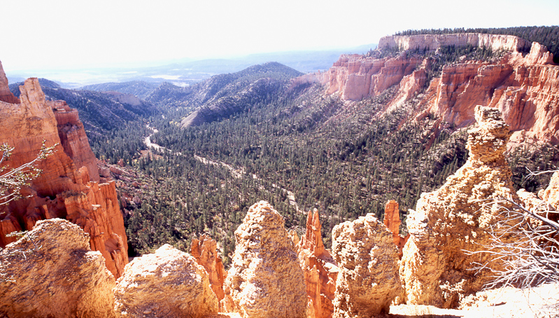 Utah, Bryce NP Sunsetpoint
