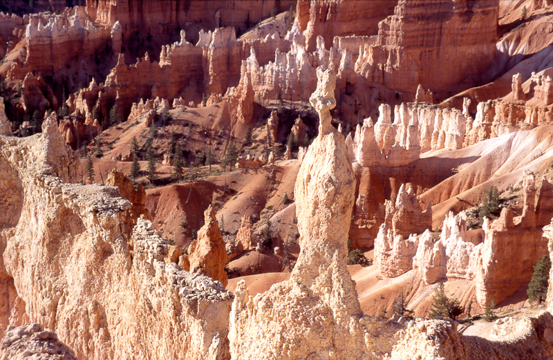 Utah, Bryce NP, zoek de haas