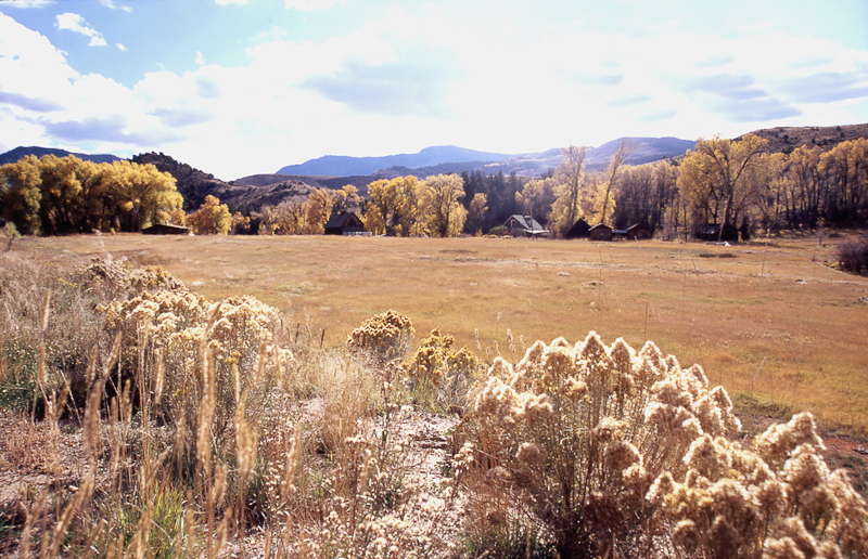 Utah, herfstkleuren ergens onderweg