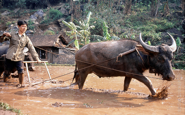 59 Onderweg naar Mai Chau