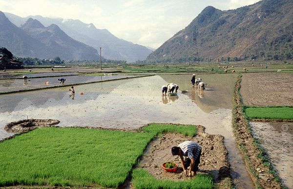 60 Mai Chau, uitzicht vanaf onze accomodatie